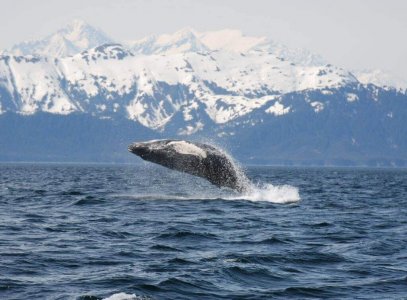 wta_1159_XHHUVL_DSC_0101s