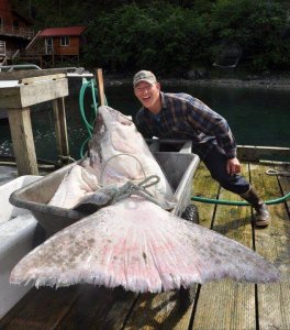 wta_1159__featured_4WG3BI_284793_649146144695_93404828_34637495_4686019_n