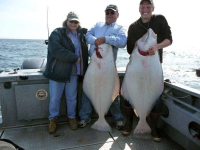 wta_1161_KXPMK7_halibut