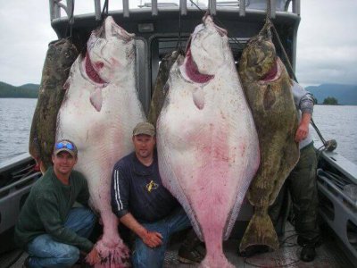 wta_1161_NMFXKD_halibut2