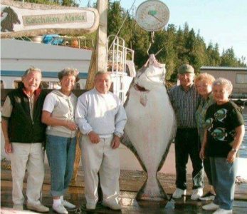 wta_1161_WAWGQ1_halibut2