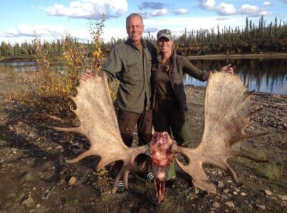 wta_1165_6NH4YA_moose