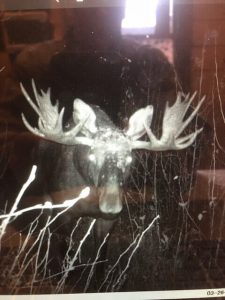 wta_1176_O2MUHN_IMG_2058