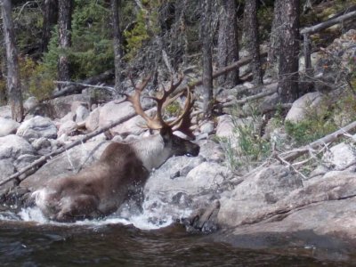 wta_1192_557ARR_CaribouGraniteLake