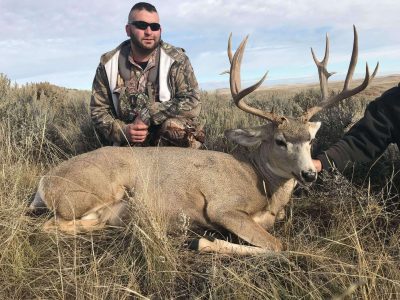 wta_1199__featured_Q9PE05_ChrisZaccheoMuleDeer-Fourhorse