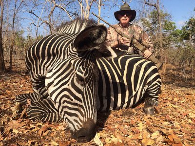 wta_1204_3M6IQD_Moz-zebra
