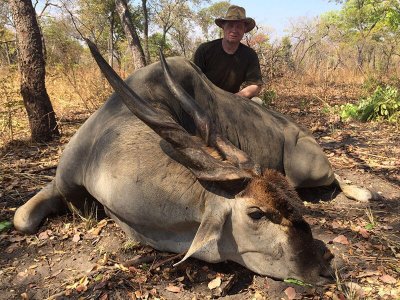 wta_1204_7JC6EJ_Moz-eland