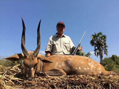 wta_1204_AQIJGE_Moz-bushbuck