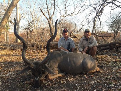 wta_1204_GSHKU6_Moz-kudu2