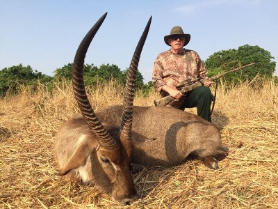 wta_1204_KBKQ5X_Moz-waterbuck