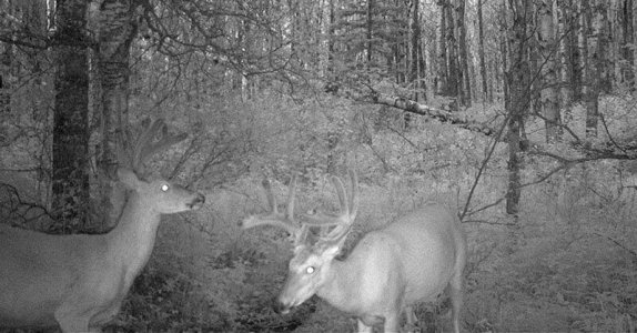 wta_1216_LMFKYT_HUNT0261