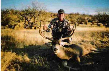 wta_1222_4TW78T_mule-deer4