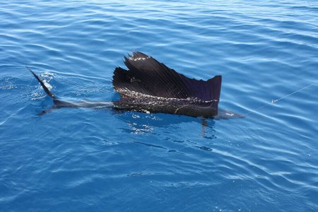 wta_1244_7UHM2X_IMG_3671