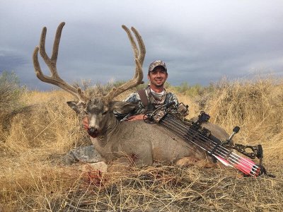wta_1246__featured_ILB7R4_Archerydeer2016