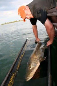 wta_1251_SBM45X_muskie76h_14