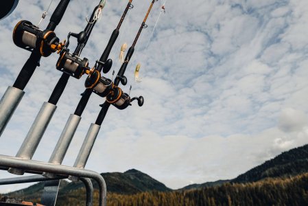 wta_1254_rods