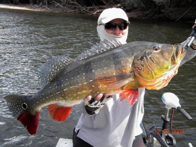 wta_1257_O9H8P4_fishing-peacock-bass-21-bg