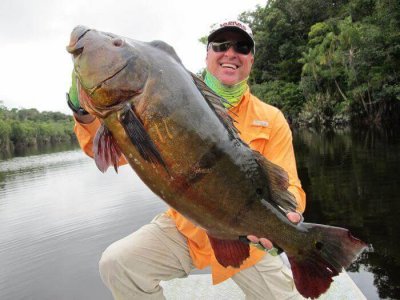 wta_1257_QPB2AI_bass