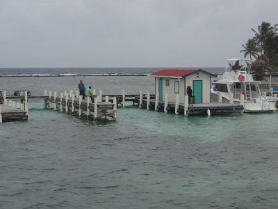 wta_1259_A019AF_dock