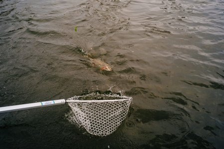 wta_1262_0WQCQ1_2014_MT_Flyfishing_TS_0585
