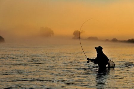 wta_1262_HST9LX_fishing