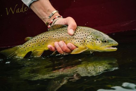wta_1262_S3ZIJH_2014_MT_Flyfishing_TS_0603