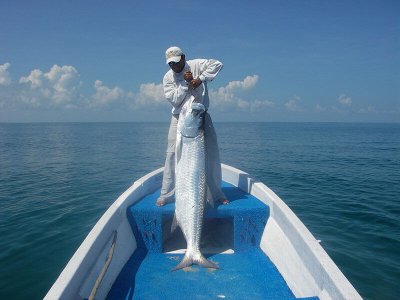 wta_1273__featured_ZKVIXE_Holbox08.24.087ft.170lbs