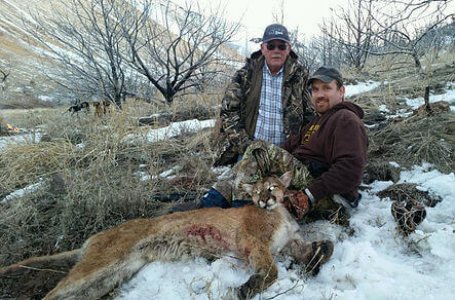wta_1274_9N50SD_deadlinemtnlion3
