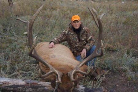 wta_1286_BIS3AB_Elk048