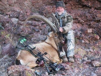 wta_1296_1589F1_ibex33