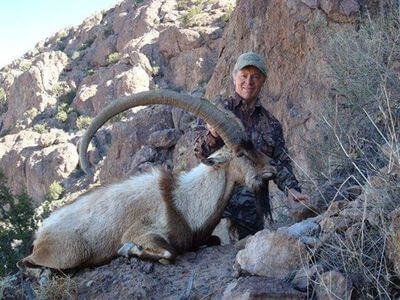 wta_1296_2SXCDV_ibex22