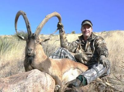 wta_1296_ESANSG_ibex31