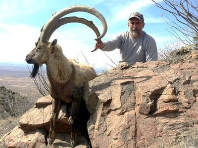 wta_1296_FJAU3V_ibex18