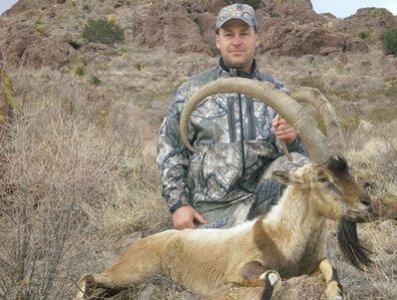 wta_1296_H4347C_ibex11