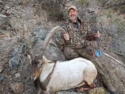 wta_1296_J0JAWU_ibex07