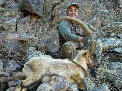 wta_1296_MD1FHR_ibex12