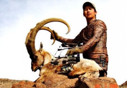 wta_1296_NSC5CQ_ibex23