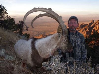 wta_1296_WNZCNF_ibex17