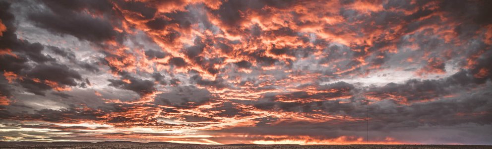 wta_1300_060A2227