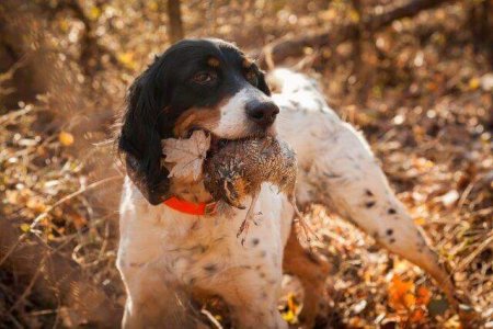 wta_1301_68COT0_WL-1378