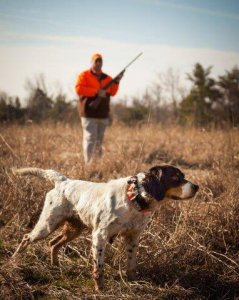 wta_1301_PA4JBL_WL-1357