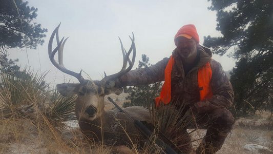 wta_1305_YQCPCT_image1