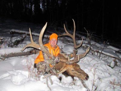 wta_1316_GDRMPI_Coloradoelk351