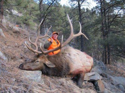 wta_1316_HC84EW_Coloradoelkhunting336