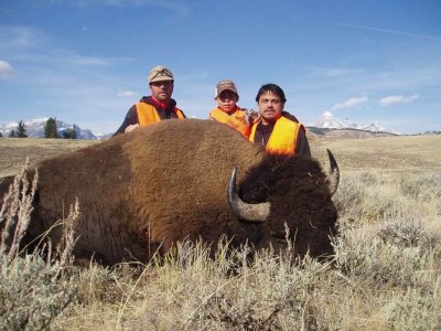wta_1318_1P626I_HiddenBasinBison2