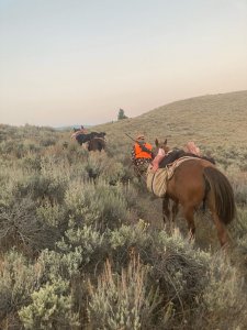 wta_1318_Matt S. Trailing Horses