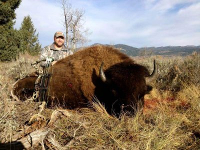 wta_1318__featured_3IP2C7_GregMayBison