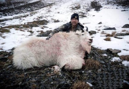 wta_1324_D67OO7_kadegoat