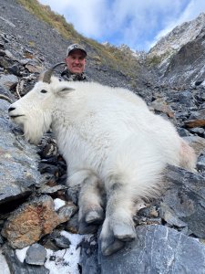 wta_1324_Mitch Miller Kod AK Goat