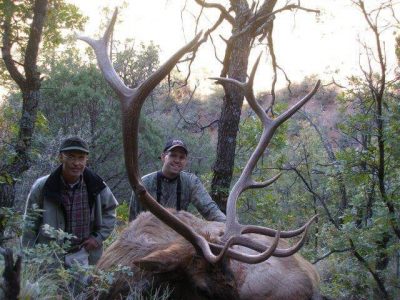 wta_1330_3HS6PT_elk7
